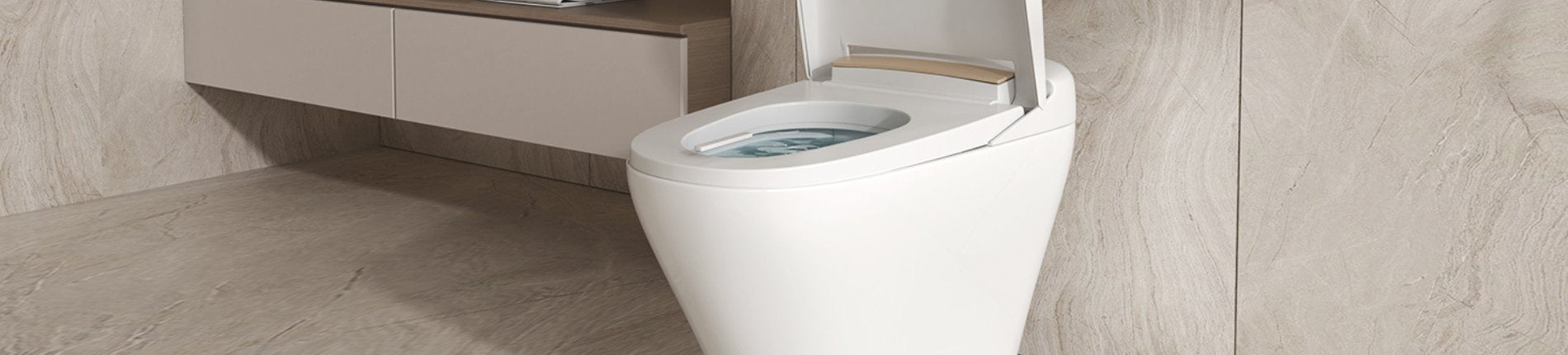 smart toilet