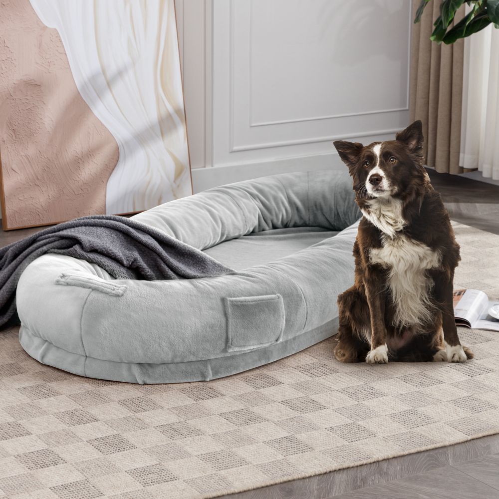 Mjkone Pet Bed & Reviews